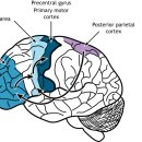 베이스피티 이미지