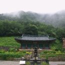 동해메밀촌 이미지