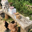 크리점빵 이미지