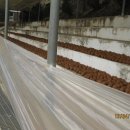 송탄중학교 이미지