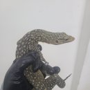 초록도마뱀 이미지