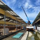 새울태양광발전소 이미지