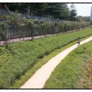 부영10차(중흥마을1단지) 이미지