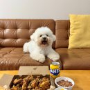 세화통닭 | [제주도 제주시] 구좌읍 세화해변 치킨맛집 '돌담통닭' 해물야채통닭 포장후기