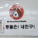 보경동물병원 이미지