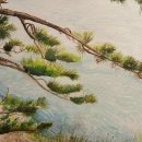 바다엔소나무 이미지