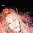 딘 - 17159 | 딘