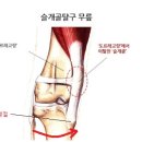 임재성동물의료센터 이미지