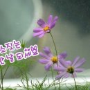 대구종합유통단지 산업용재관 이미지