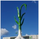 사곡중학교 이미지