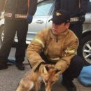 가흥동영주소방서 이미지