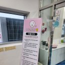 수원 신동의 애견 카페 보고싶당개 다녀온 후 사랑스러운 반려견과의 특별한 시간