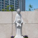 건축사사무소삼양건축