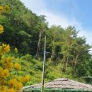 산골여행펜션 이미지