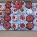 경태농장 이미지