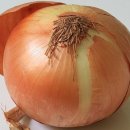 차대표 카카오 검색결과