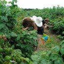 손의개농장 이미지