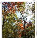 존자암지 이미지