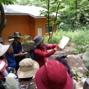 조령산자연휴양림 이미지