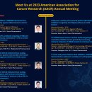 (주)우선약품 이미지