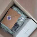 031 | ✨젠틀몬스터 요나 031 초경량 티타늄 안경테 후기 | 가볍고 세련된 데일리 안경 추천✨