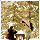 신효범 카카오 검색결과