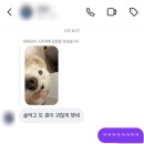 광명 24 아이디동물의료센터 | Thursday. 우리는 앞으로 나아가