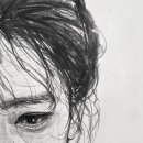 판도라의 숲 이미지