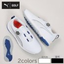 에이스 캣 이미지