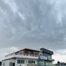 (유)드림렌트카 | [제주] 제주 구좌읍 혼밥 맛집 소라횟집 우럭매운탕 물회 착한가격업소 구좌 빵집 소금빵맛집 가는곶세...