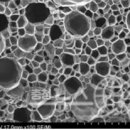 ㈜엔씨씨 이미지