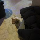 서교 당구클럽 이미지