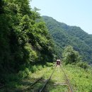 강촌레일바이크 이미지