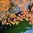 동원당구장 이미지