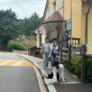 GR(남해군)-[남해대로]-하-8 | [남해]남해여행1,남해전복물회,독일마을,독일마트,독일마을기념품샵