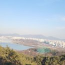 소봉 농장 Daum카페
