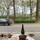 피에스룸 | [마누테라스]양재천 와인 다이닝 디너코스 후기 | 데이트 청첩장모임 추천🍷