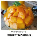 윤씨인공수정소 | 애플망고1947 제주시점 왜 다들 줄서서 먹는지 가보니!
