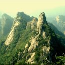 육하원칙 이미지