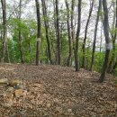 용산-363 Daum카페