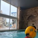 플레이존 게임장 | 강원도 쏠비치 삼척 오션플레이 셰프스키친 디너 뷔페 솔직 후기