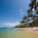 코사무이 이미지