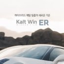 팔로우틴팅
