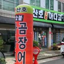 고성곰장어