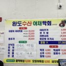 완도수산야채막회 이미지