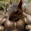 (주)건강과 땀 휘트니스 이미지