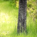 서일영어학원 이미지