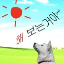 깔끔이드라이크리닝 | 먼지다듬이와의 전쟁 | 깔끔병은 이제 결벽증이 되어 | 신축아파트, 장마철대비, 종이애호가, 옷...
