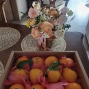 솔루플라워 | 울산 꽃집 솔루플라워 후기 - 첫 인사 꽃바구니💐(+과일세트)