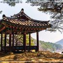 덕동달구지펜션 이미지